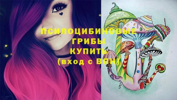 мескалин Лабытнанги