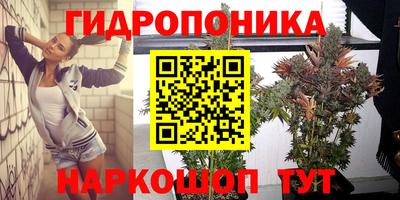бошки Можга
