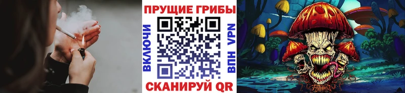 kraken сайт  Реутов  Галлюциногенные грибы Cubensis 