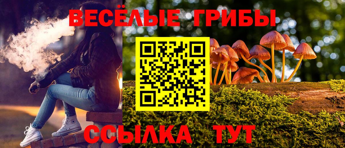 Реутов  Галлюциногенные грибы мицелий  Вход с VPN 