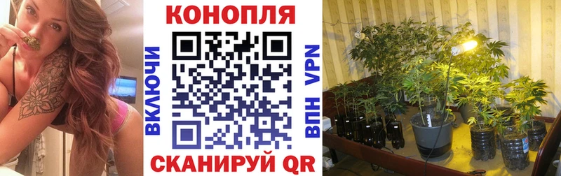 Канабис OG Kush  магазин продажи наркотиков  Реутов 